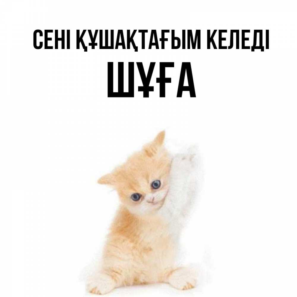 Күн сайын ашық хат с именем, ШҰҒА сені құшақтағым келеді я хочу очень скорее обнимаешек Онлайн тегін жүктеп алу тілектері бар керемет карта 
