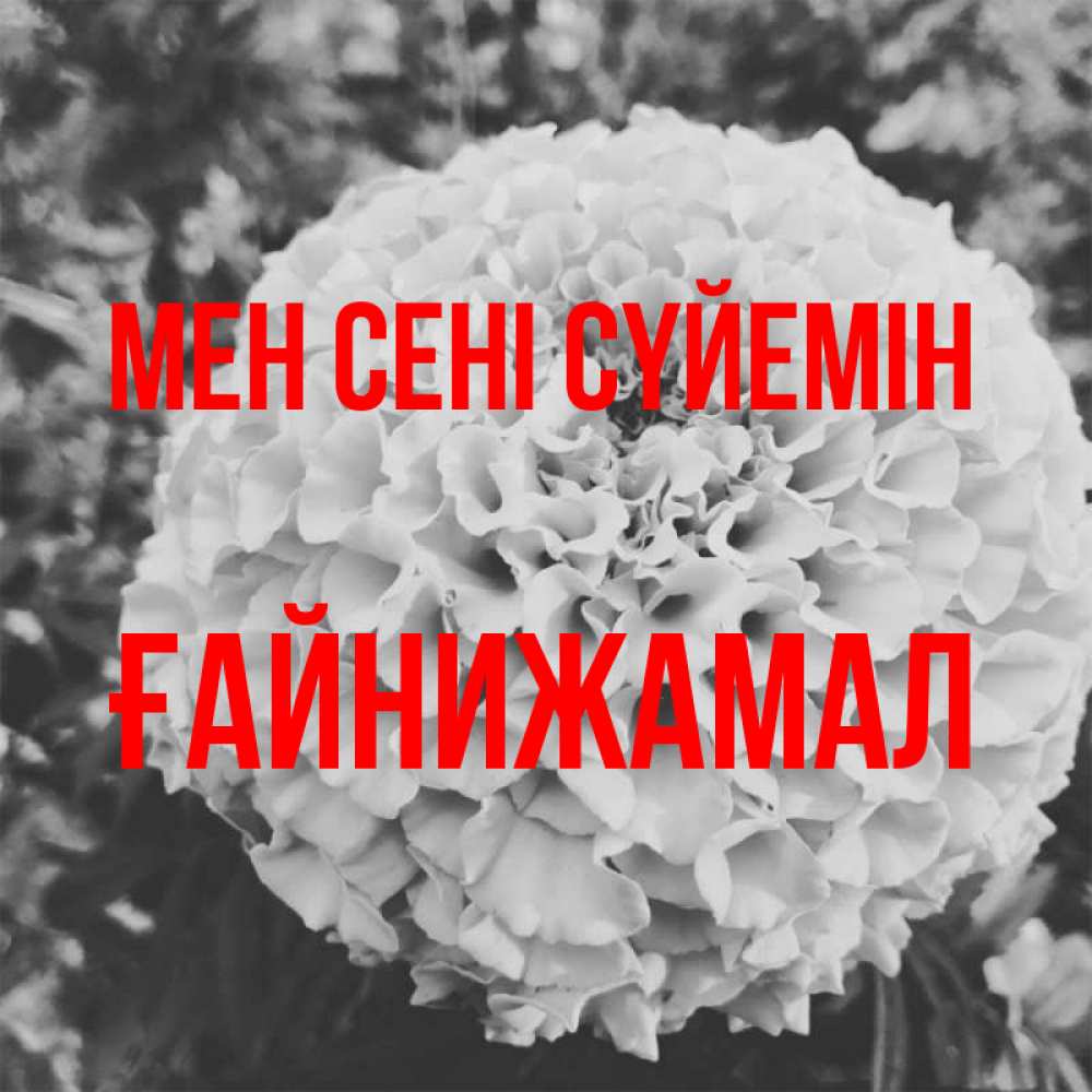Күн сайын ашық хат с именем, ҒАЙНИЖАМАЛ Мен сені сүйемін подпись Онлайн тегін жүктеп алу тілектері бар керемет карта 