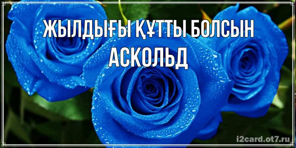 Күн сайын ашық хат с именем, Аскольд Жылдығы құтты болсын розы с синим цветом Онлайн тегін жүктеп алу тілектері бар керемет карта 