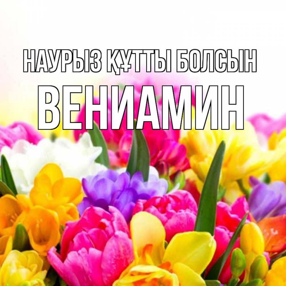 Күн сайын ашық хат с именем, Вениамин Наурыз құтты болсын тюльпаны Онлайн тегін жүктеп алу тілектері бар керемет карта 