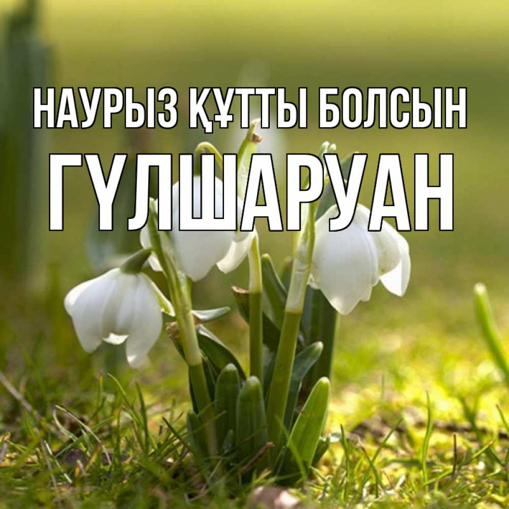 Күн сайын ашық хат с именем, ГҮЛШАРУАН Наурыз құтты болсын ранние цветы 2 Онлайн тегін жүктеп алу тілектері бар керемет карта 