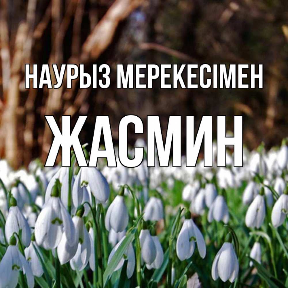 Күн сайын ашық хат с именем, Жасмин Наурыз мерекесімен с подснежниками 1 Онлайн тегін жүктеп алу тілектері бар керемет карта 