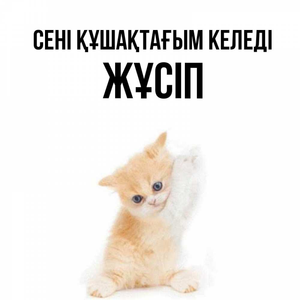 Күн сайын ашық хат с именем, Жұсіп сені құшақтағым келеді я хочу очень скорее обнимаешек Онлайн тегін жүктеп алу тілектері бар керемет карта 
