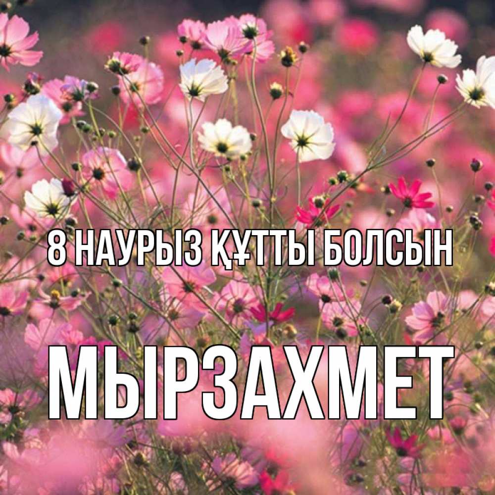Күн сайын ашық хат с именем, МЫРЗАХМЕТ 8 наурыз құтты болсын красиво 1 Онлайн тегін жүктеп алу тілектері бар керемет карта 