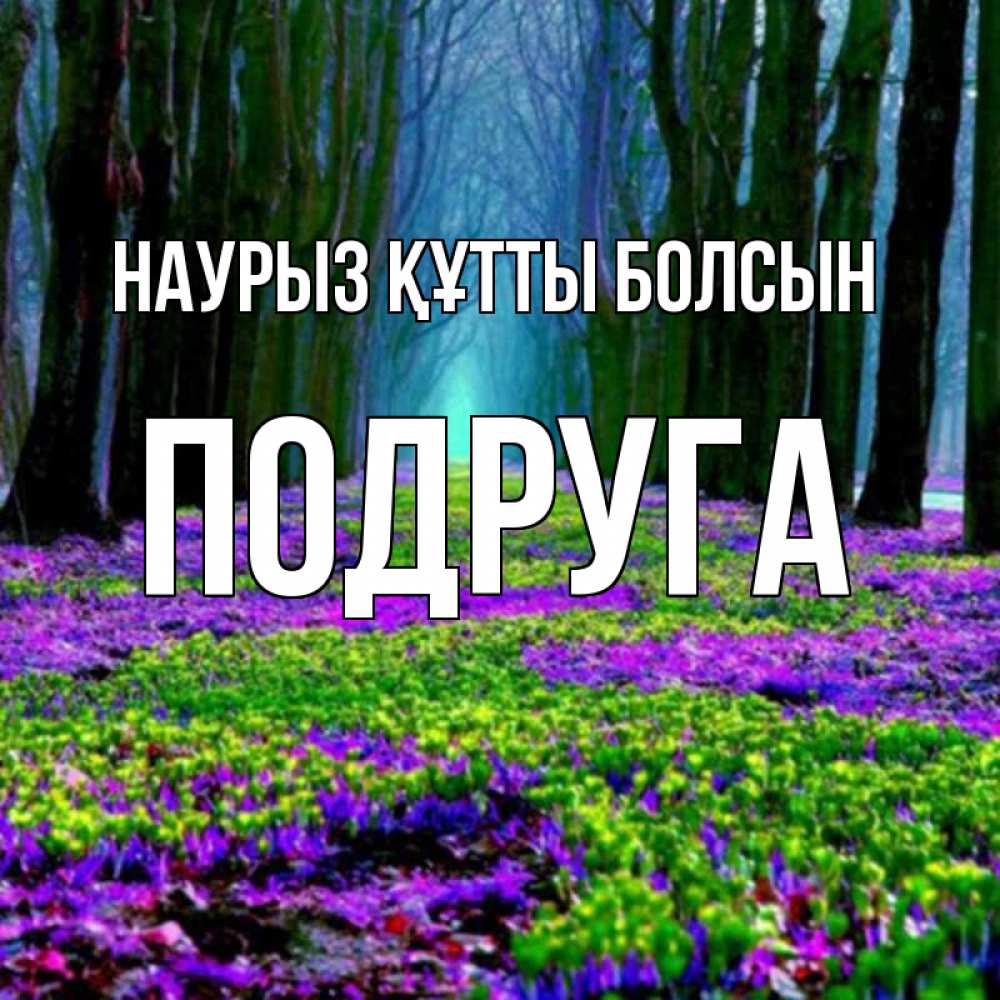 Күн сайын ашық хат с именем, Подруга Наурыз құтты болсын фиолетовые цветы в лесу 1 Онлайн тегін жүктеп алу тілектері бар керемет карта 