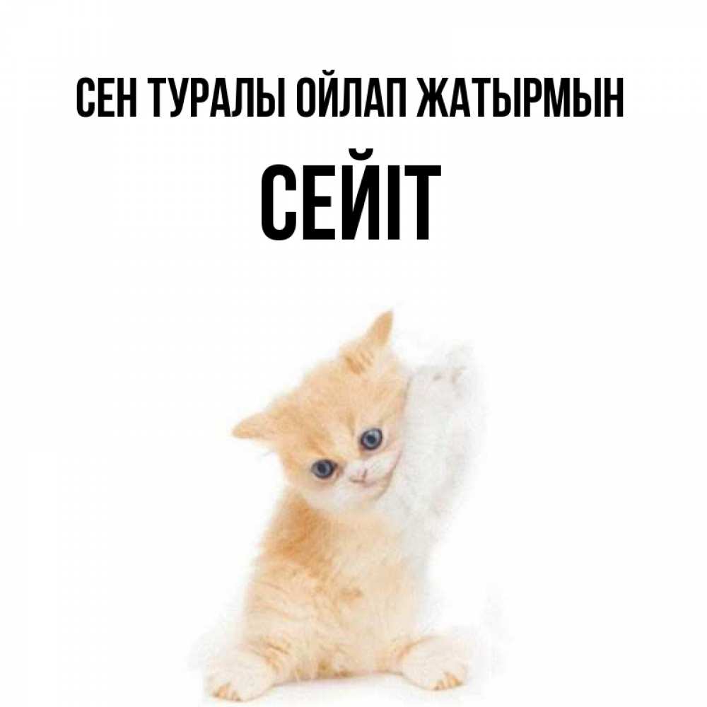 Күн сайын ашық хат с именем, СЕЙІТ Сен туралы ойлап жатырмын зверушки и милота Онлайн тегін жүктеп алу тілектері бар керемет карта 
