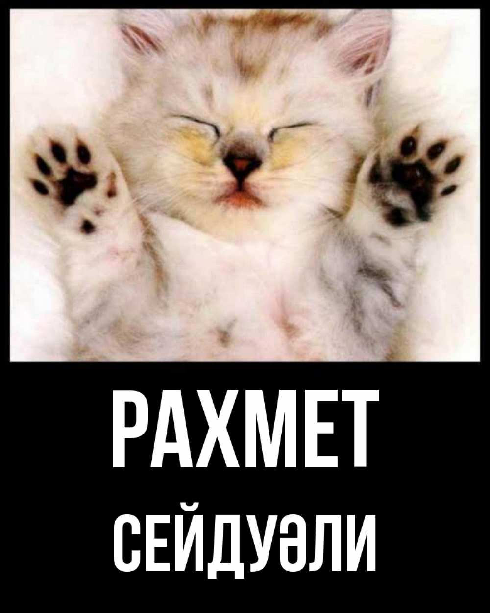 Күн сайын ашық хат с именем, СЕЙДУӘЛИ рахмет маленький котенок Онлайн тегін жүктеп алу тілектері бар керемет карта 