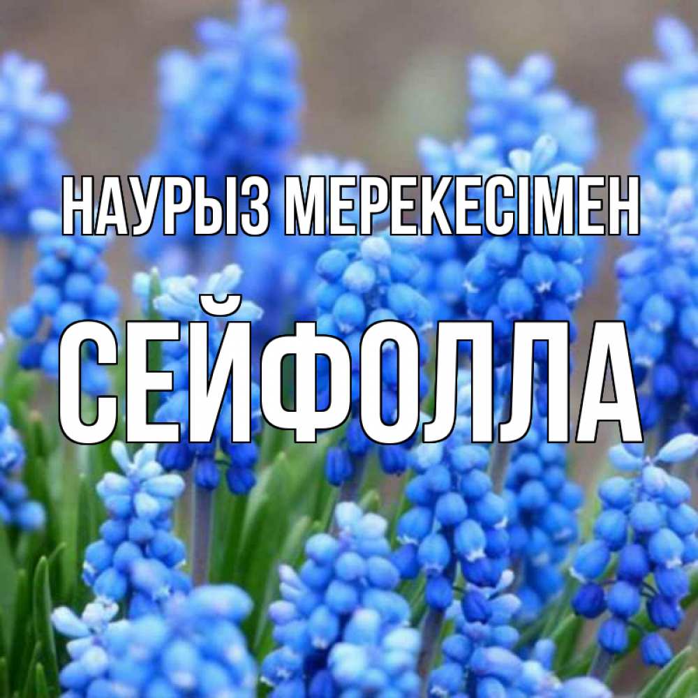 Күн сайын ашық хат с именем, СЕЙФОЛЛА Наурыз мерекесімен Поздравительная открытка для женщин с цветами на праздничную дату Онлайн тегін жүктеп алу тілектері бар керемет карта 