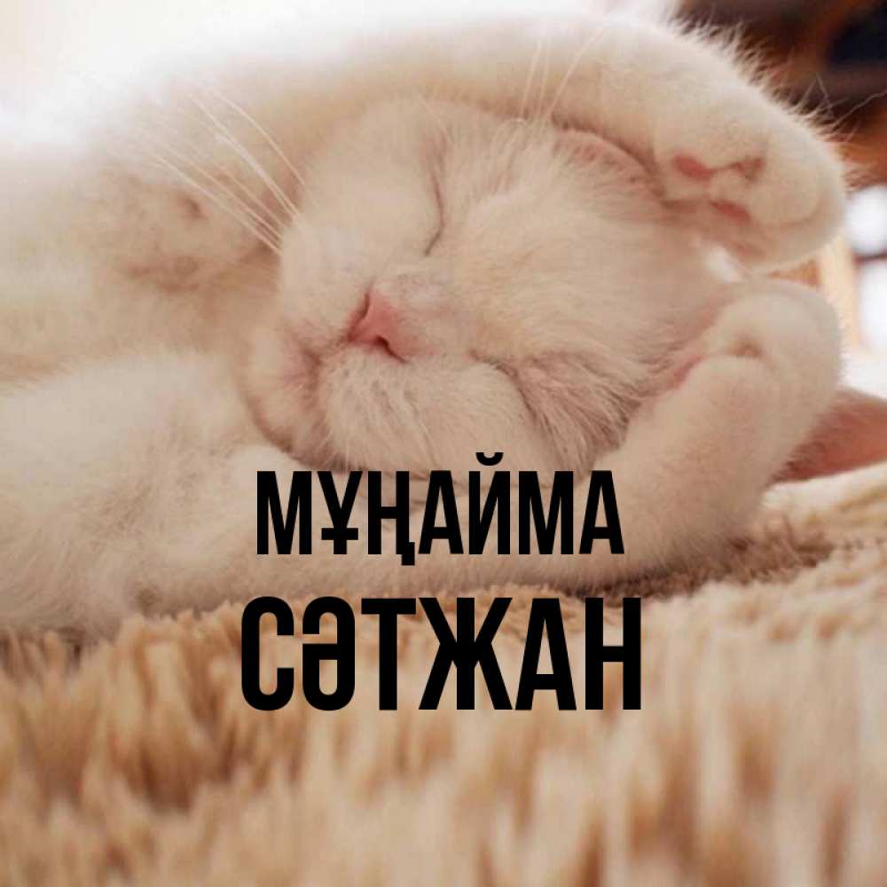 Күн сайын ашық хат с именем, СӘТЖАН Мұңайма Котенок спит Онлайн тегін жүктеп алу тілектері бар керемет карта 