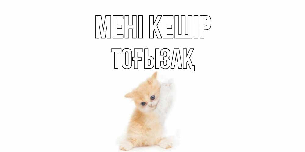 Күн сайын ашық хат с именем, ТОҒЫЗАҚ Мені кешір кот Онлайн тегін жүктеп алу тілектері бар керемет карта 