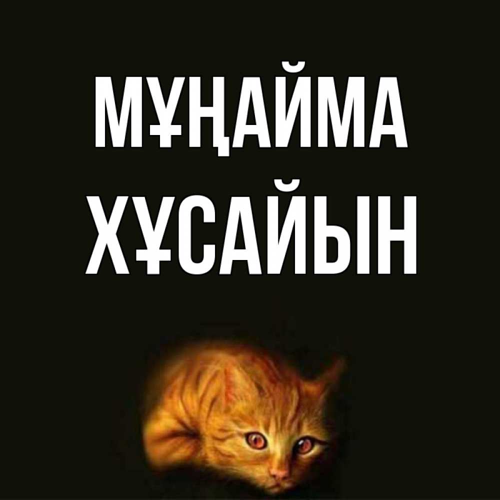 Күн сайын ашық хат с именем, ХҰСАЙЫН Мұңайма лежащий кот в темноте Онлайн тегін жүктеп алу тілектері бар керемет карта 