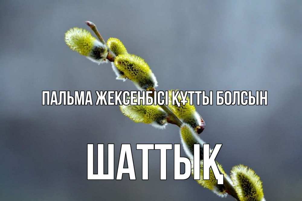 Күн сайын ашық хат с именем, ШАТТЫҚ Пальма жексенбісі құтты болсын верба Онлайн тегін жүктеп алу тілектері бар керемет карта 