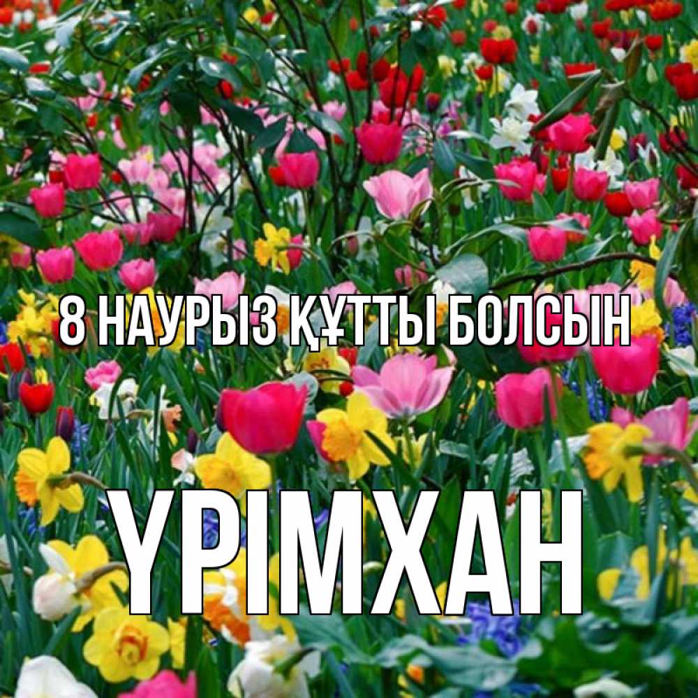Күн сайын ашық хат с именем, Үрімхан 8 наурыз құтты болсын с международным женским днем поздравления для женщины Онлайн тегін жүктеп алу тілектері бар керемет карта 