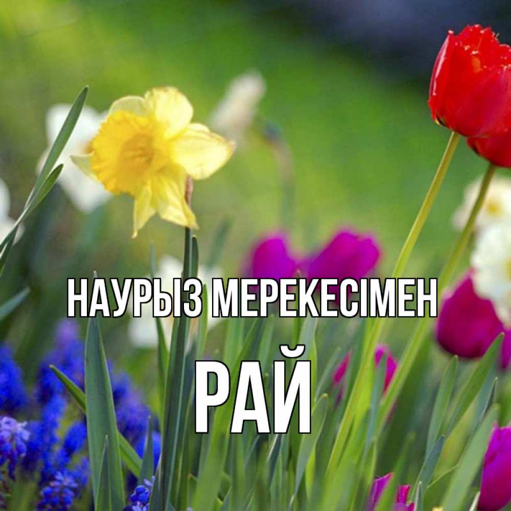 Күн сайын ашық хат с именем, РАЙ Наурыз мерекесімен праздник весны наурыз 3 Онлайн тегін жүктеп алу тілектері бар керемет карта 