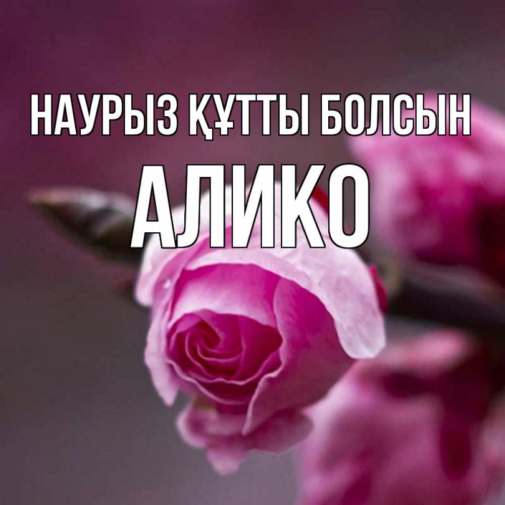 Күн сайын ашық хат с именем, Алико Наурыз құтты болсын весна Онлайн тегін жүктеп алу тілектері бар керемет карта 