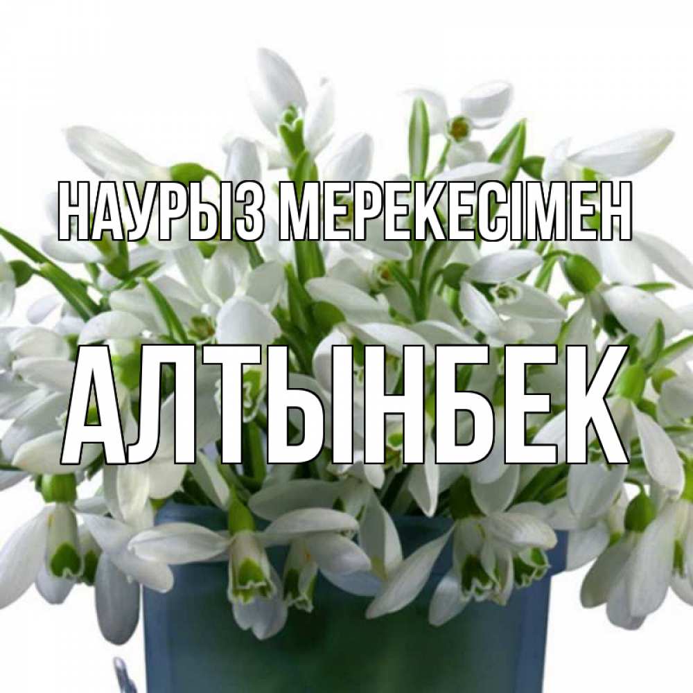 Күн сайын ашық хат с именем, Алтынбек Наурыз мерекесімен цветы к наурызу новый год в Казахстане Онлайн тегін жүктеп алу тілектері бар керемет карта 