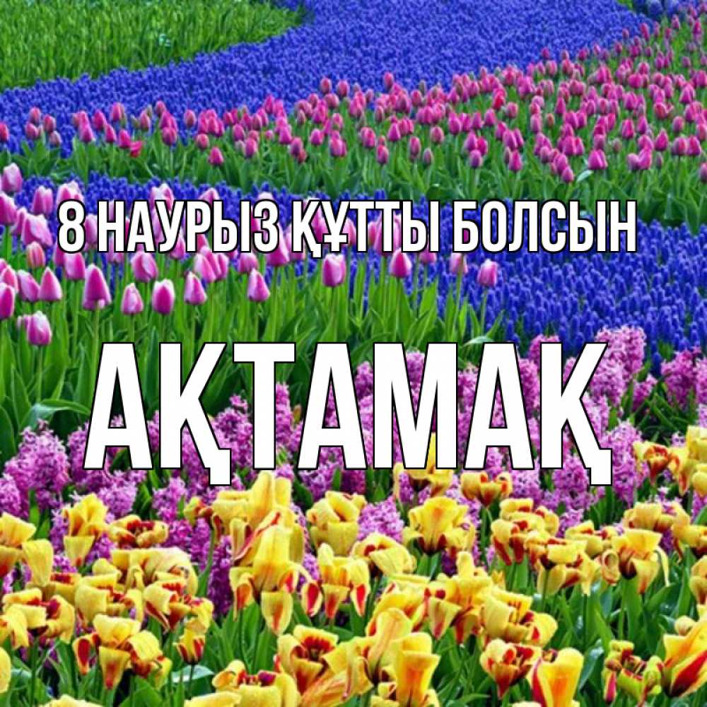 Күн сайын ашық хат с именем, Ақтамақ 8 наурыз құтты болсын цветы Онлайн тегін жүктеп алу тілектері бар керемет карта 
