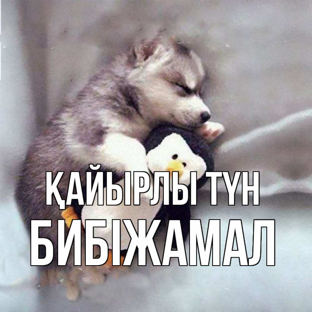 Күн сайын ашық хат с именем, БИБІЖАМАЛ Қайырлы түн обнимашки щенка и пингвина Онлайн тегін жүктеп алу тілектері бар керемет карта 