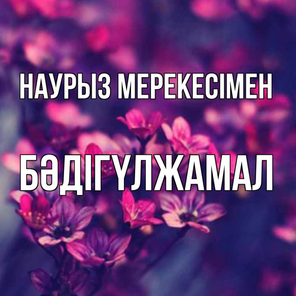 Күн сайын ашық хат с именем, БӘДІГҮЛЖАМАЛ Наурыз мерекесімен небольшие цветы 1 Онлайн тегін жүктеп алу тілектері бар керемет карта 