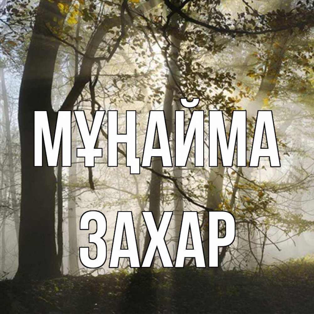 Күн сайын ашық хат с именем, Захар Мұңайма лес и свет Онлайн тегін жүктеп алу тілектері бар керемет карта 