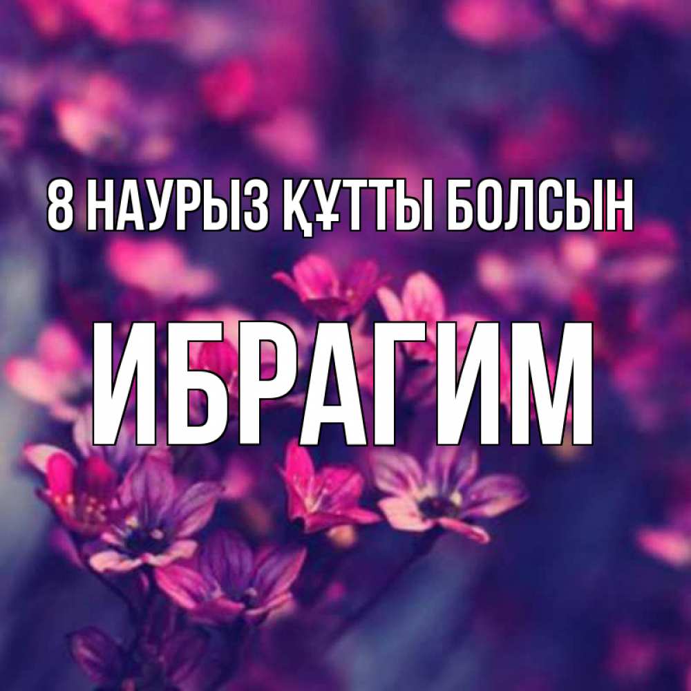 Күн сайын ашық хат с именем, Ибрагим 8 наурыз құтты болсын небольшие цветы 1 Онлайн тегін жүктеп алу тілектері бар керемет карта 