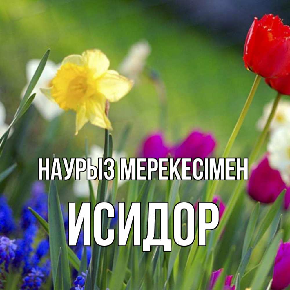 Күн сайын ашық хат с именем, Исидор Наурыз мерекесімен праздник весны наурыз 3 Онлайн тегін жүктеп алу тілектері бар керемет карта 