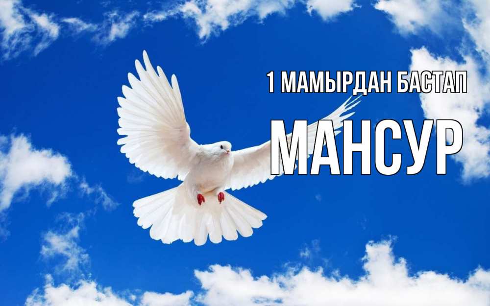 Күн сайын ашық хат с именем, Мансур 1 мамырдан бастап С 1 мая 1 Онлайн тегін жүктеп алу тілектері бар керемет карта 
