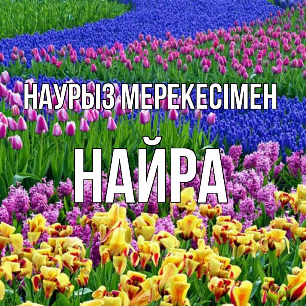 Күн сайын ашық хат с именем, НАЙРА Наурыз мерекесімен цветы Онлайн тегін жүктеп алу тілектері бар керемет карта 