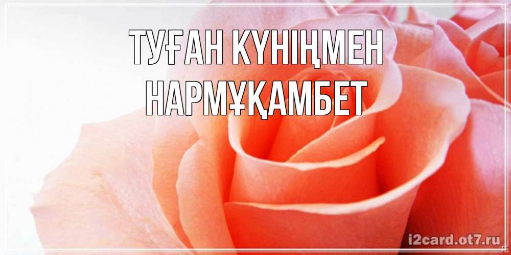 Күн сайын ашық хат с именем, НАРМҰҚАМБЕТ Туған күніңмен розы для поздравления с днем рождения Онлайн тегін жүктеп алу тілектері бар керемет карта 