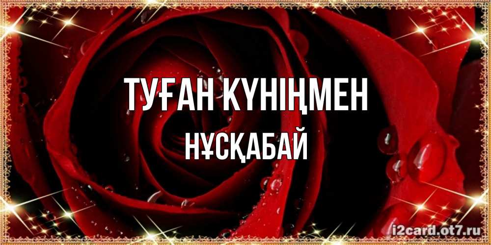 Күн сайын ашық хат с именем, НҰСҚАБАЙ Туған күніңмен цветок в росе на день рождения Онлайн тегін жүктеп алу тілектері бар керемет карта 