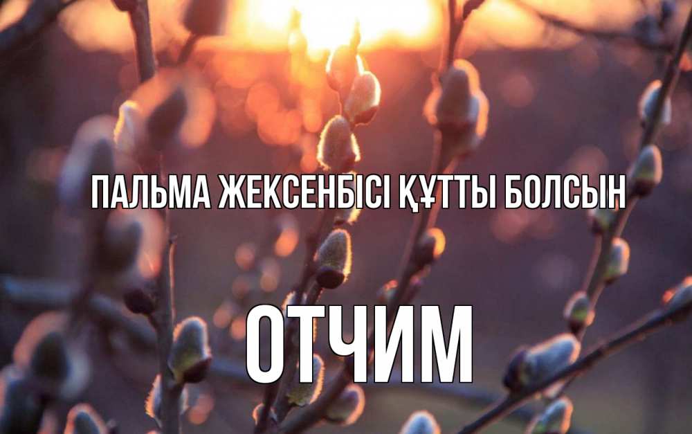 Күн сайын ашық хат с именем, Отчим Пальма жексенбісі құтты болсын верба Онлайн тегін жүктеп алу тілектері бар керемет карта 