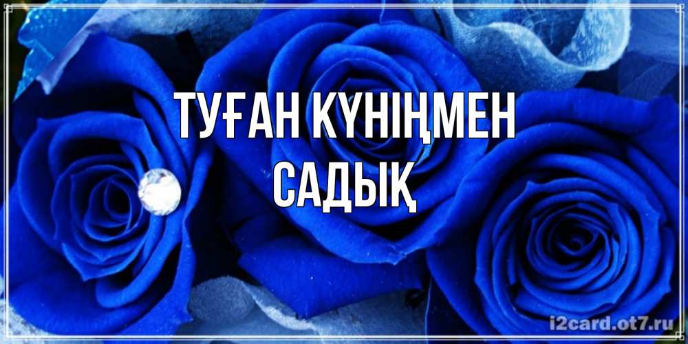 Күн сайын ашық хат с именем, САДЫҚ Туған күніңмен синие розы в росе Онлайн тегін жүктеп алу тілектері бар керемет карта 