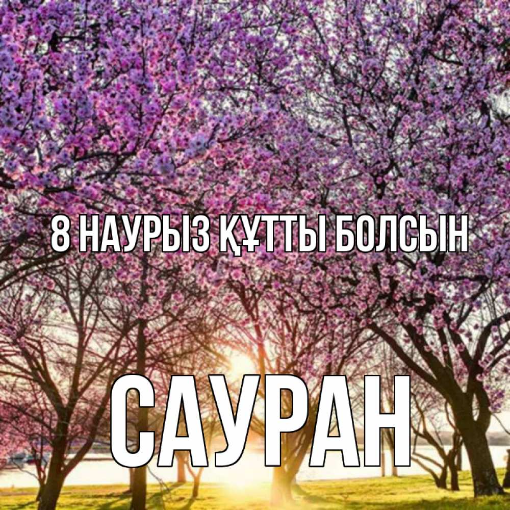 Күн сайын ашық хат с именем, САУРАН 8 наурыз құтты болсын международный женский день Онлайн тегін жүктеп алу тілектері бар керемет карта 
