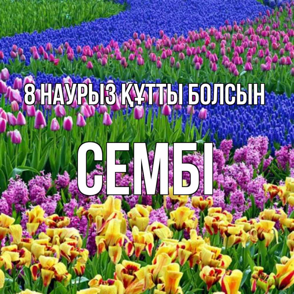 Күн сайын ашық хат с именем, СЕМБІ 8 наурыз құтты болсын цветы Онлайн тегін жүктеп алу тілектері бар керемет карта 