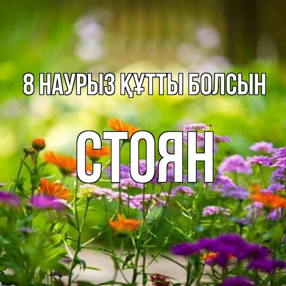 Күн сайын ашық хат с именем, Стоян 8 наурыз құтты болсын цветы Онлайн тегін жүктеп алу тілектері бар керемет карта 