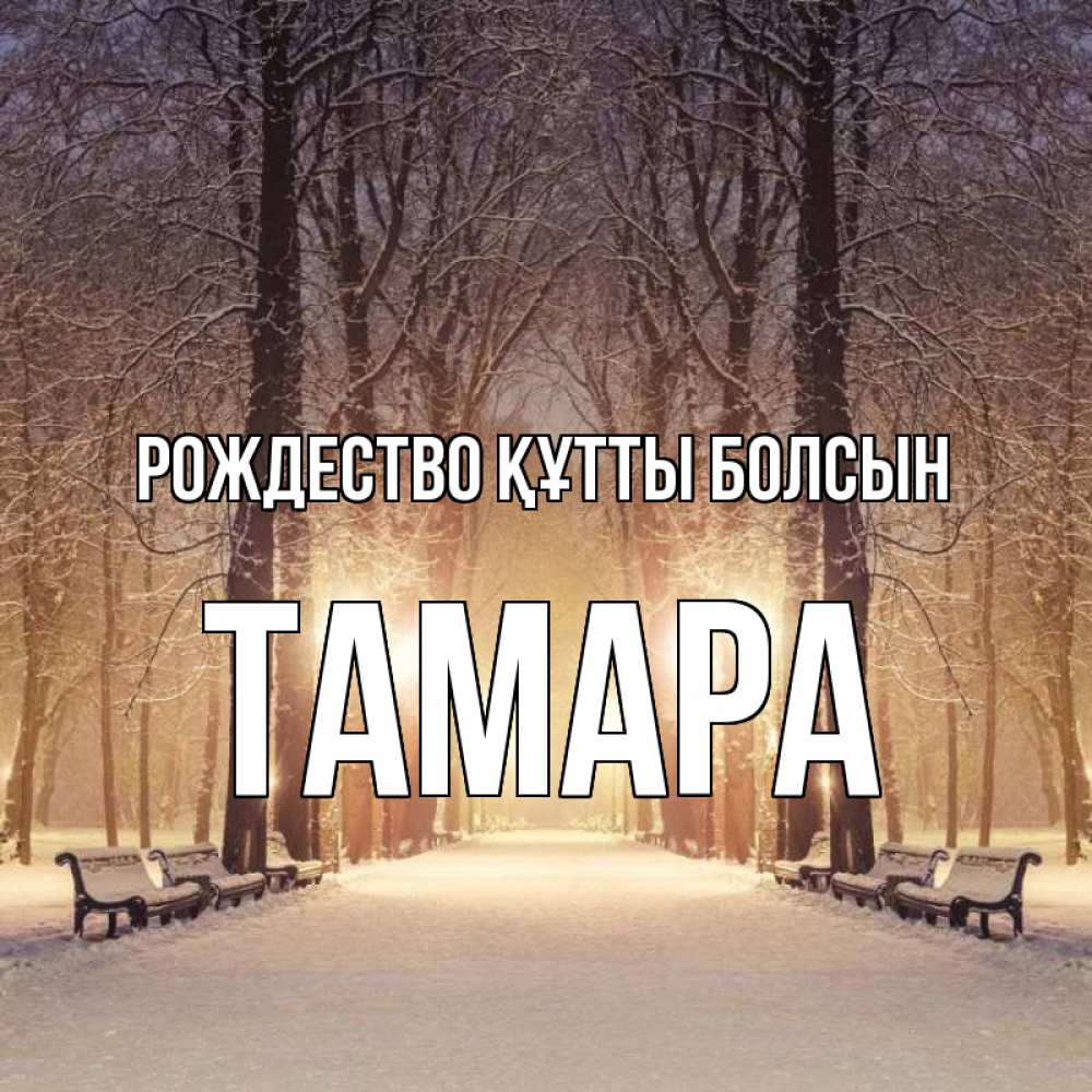 Күн сайын ашық хат с именем, ТАМАРА Рождество құтты болсын зима, парк, фонарь, лес Онлайн тегін жүктеп алу тілектері бар керемет карта 