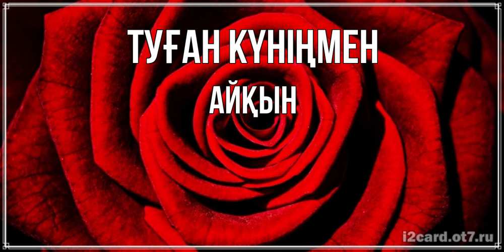 Күн сайын ашық хат с именем, Айқын Туған күніңмен алая роза Онлайн тегін жүктеп алу тілектері бар керемет карта 