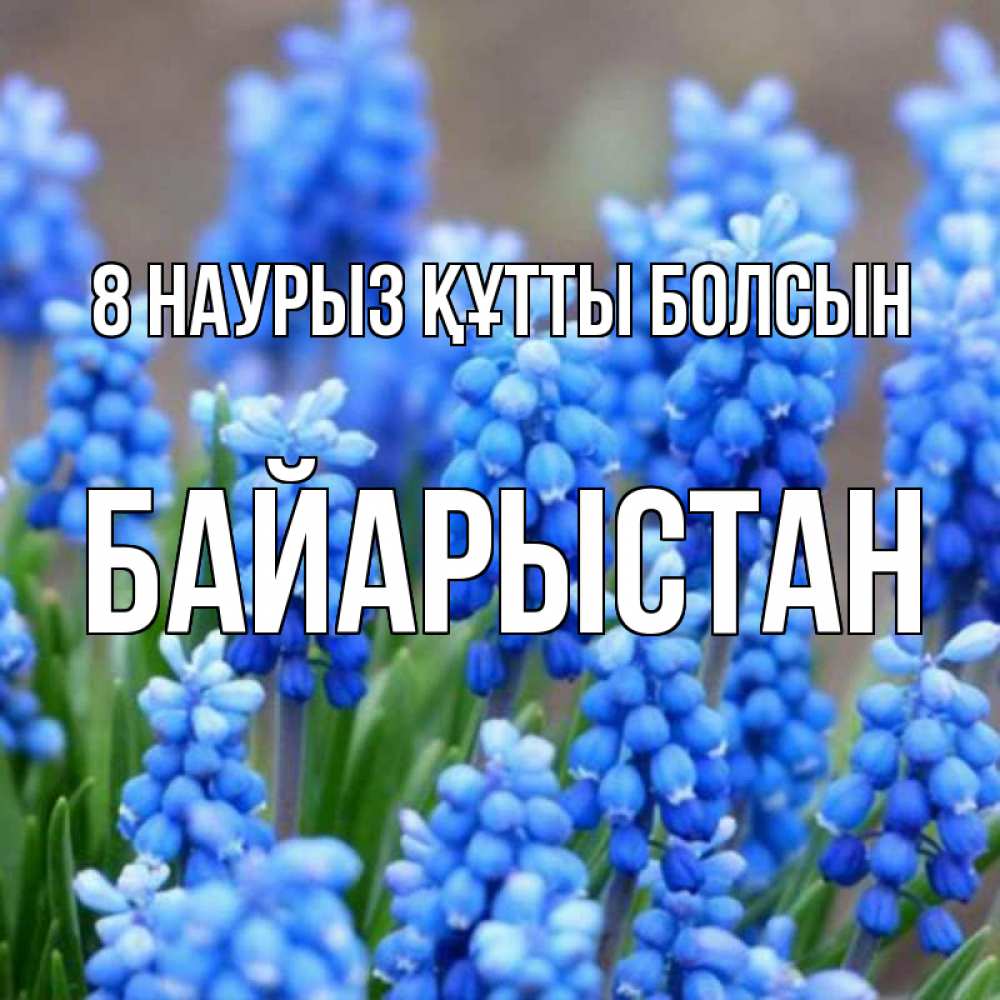 Күн сайын ашық хат с именем, Байарыстан 8 наурыз құтты болсын Поздравительная открытка для женщин с цветами на праздничную дату Онлайн тегін жүктеп алу тілектері бар керемет карта 