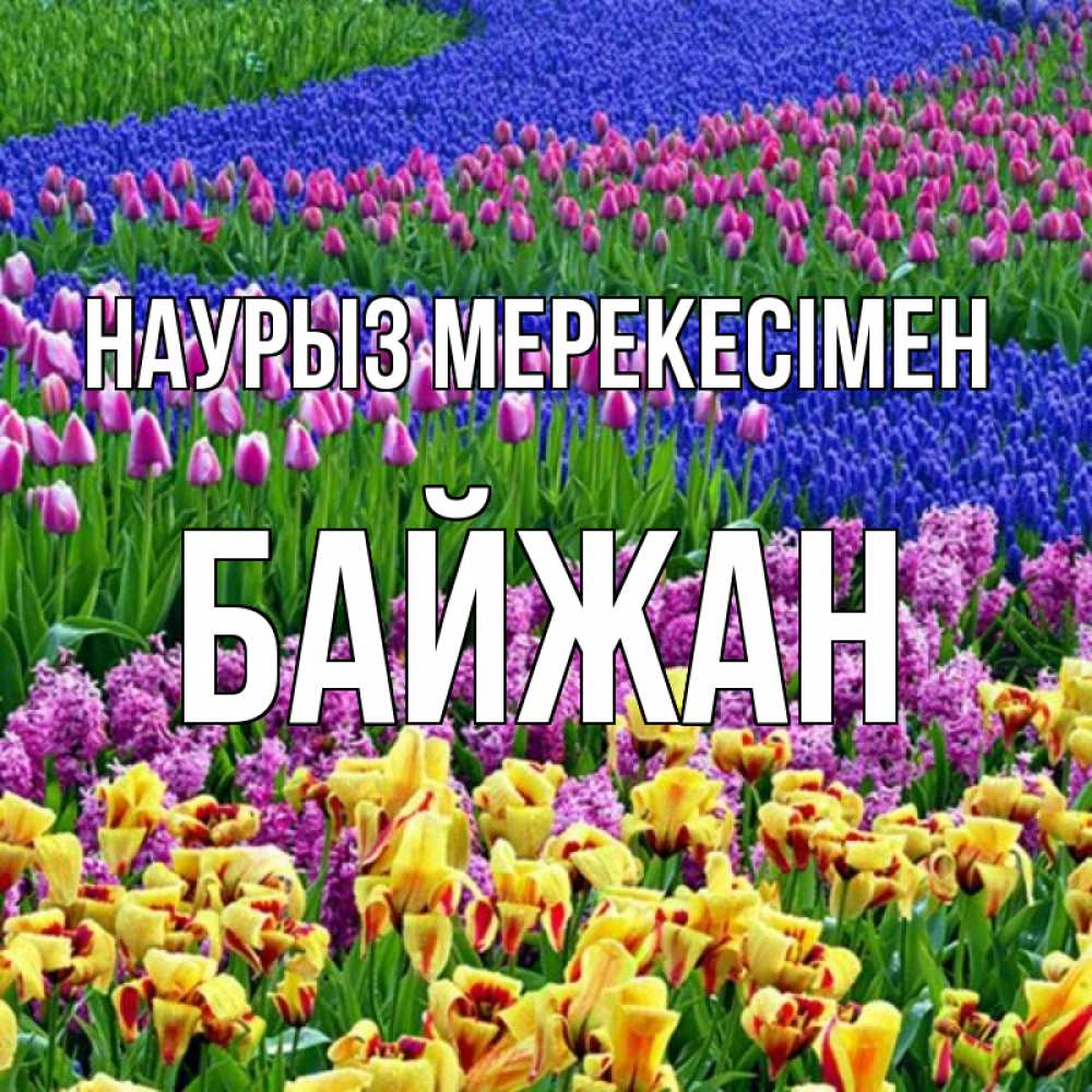 Күн сайын ашық хат с именем, Байжан Наурыз мерекесімен цветы Онлайн тегін жүктеп алу тілектері бар керемет карта 