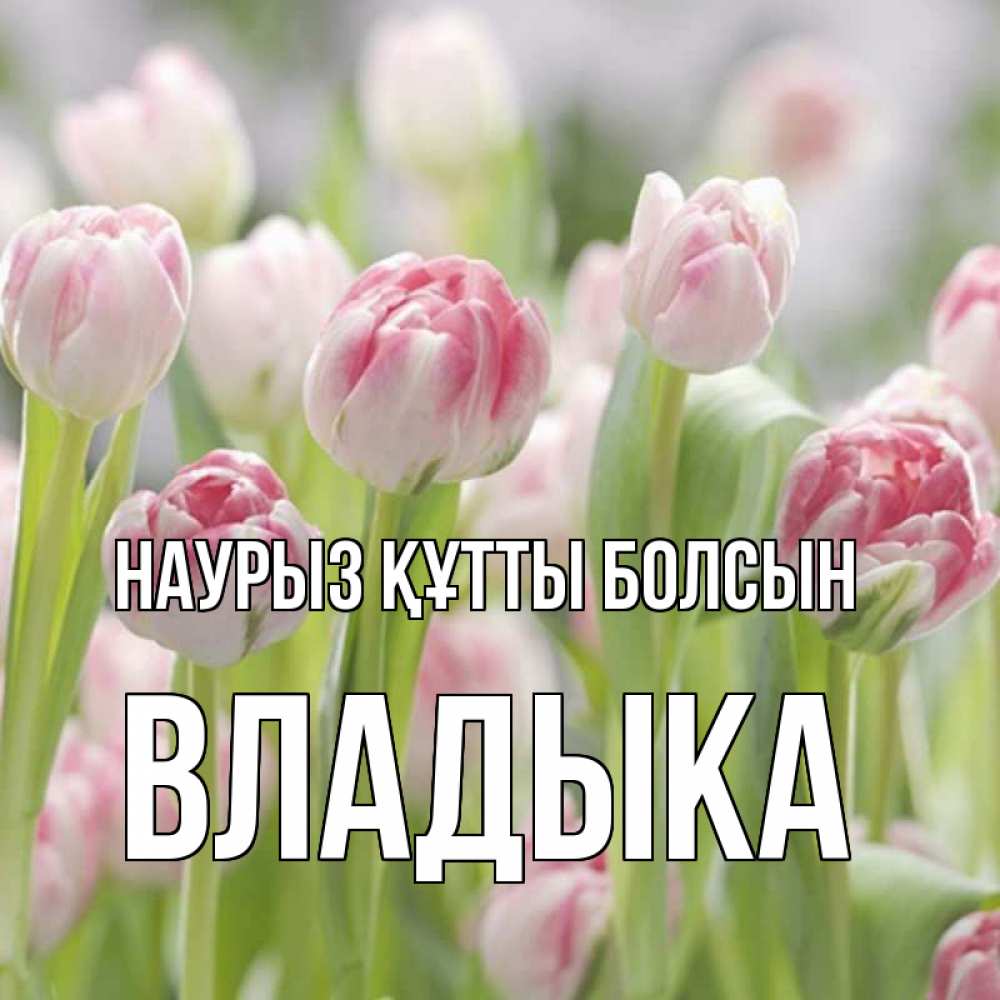 Күн сайын ашық хат с именем, Владыка Наурыз құтты болсын цветы Онлайн тегін жүктеп алу тілектері бар керемет карта 
