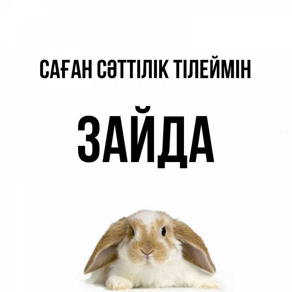 Күн сайын ашық хат с именем, ЗАЙДА Саған сәттілік тілеймін открытки с произвольным текстом который можно вставить в открытку и создать ее самостоятельно бесплатно онлайн Онлайн тегін жүктеп алу тілектері бар керемет карта 