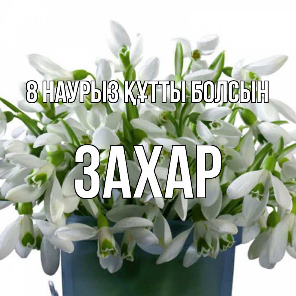 Күн сайын ашық хат с именем, Захар 8 наурыз құтты болсын цветы к международному женскому дню Онлайн тегін жүктеп алу тілектері бар керемет карта 