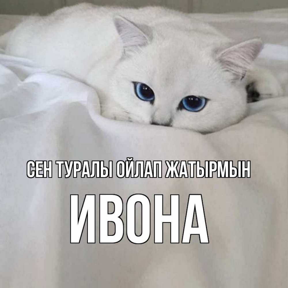 Күн сайын ашық хат с именем, Ивона Сен туралы ойлап жатырмын я очень по тебе скучаю и тоскую Онлайн тегін жүктеп алу тілектері бар керемет карта 