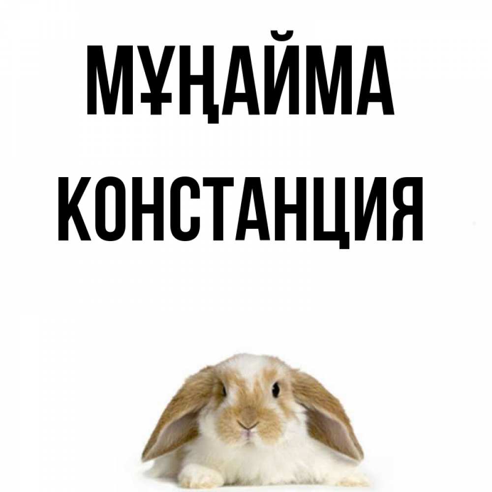Күн сайын ашық хат с именем, Констанция Мұңайма коричнево белый заяц с большими ушками Онлайн тегін жүктеп алу тілектері бар керемет карта 