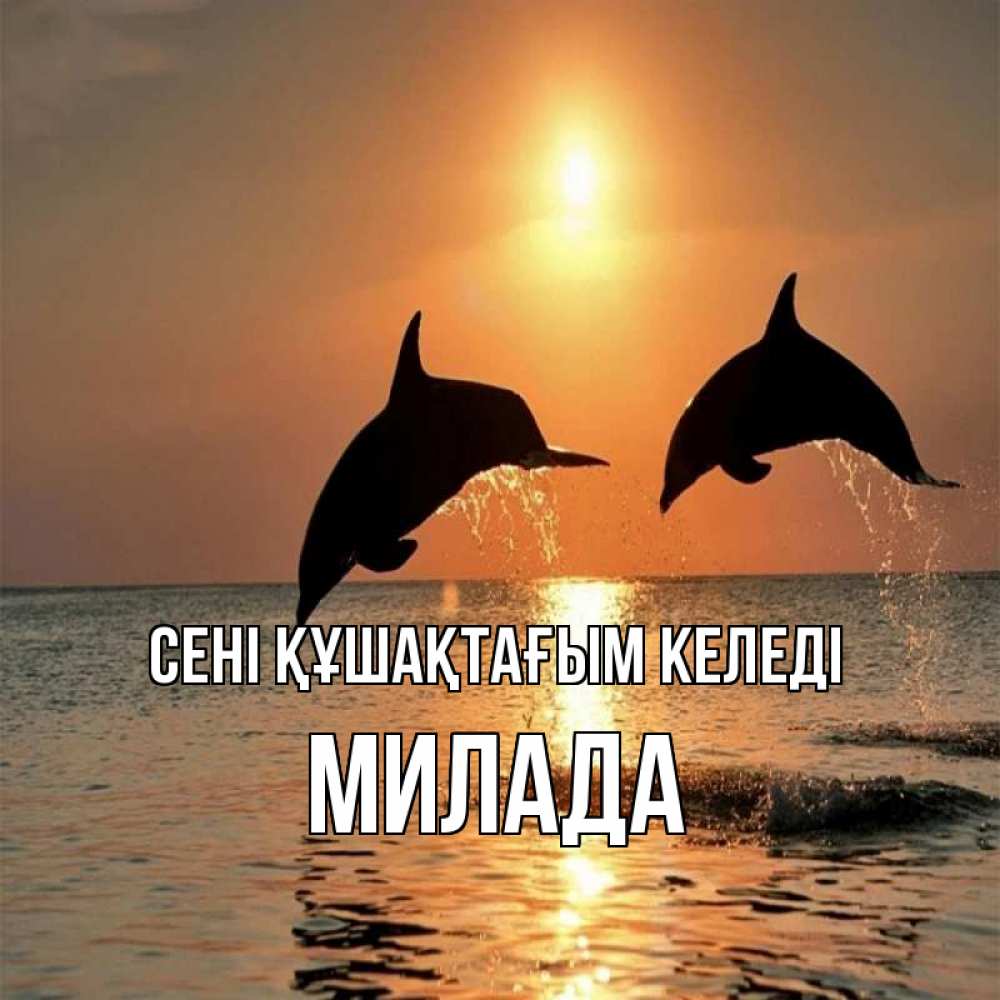 Күн сайын ашық хат с именем, Милада сені құшақтағым келеді рыбы на закате Онлайн тегін жүктеп алу тілектері бар керемет карта 