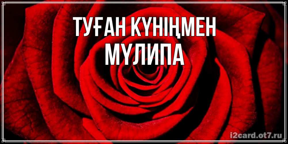 Күн сайын ашық хат с именем, МҮЛИПА Туған күніңмен алая роза Онлайн тегін жүктеп алу тілектері бар керемет карта 