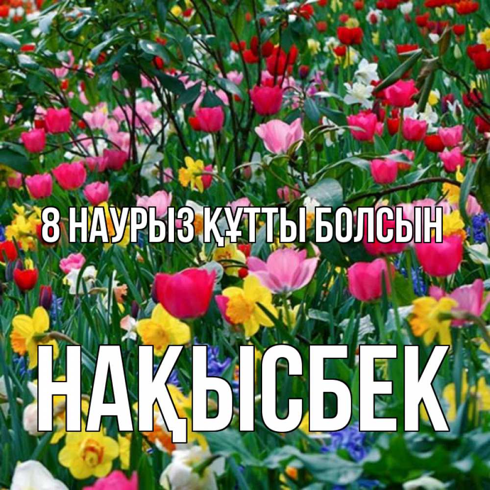Күн сайын ашық хат с именем, НАҚЫСБЕК 8 наурыз құтты болсын с международным женским днем поздравления для женщины Онлайн тегін жүктеп алу тілектері бар керемет карта 