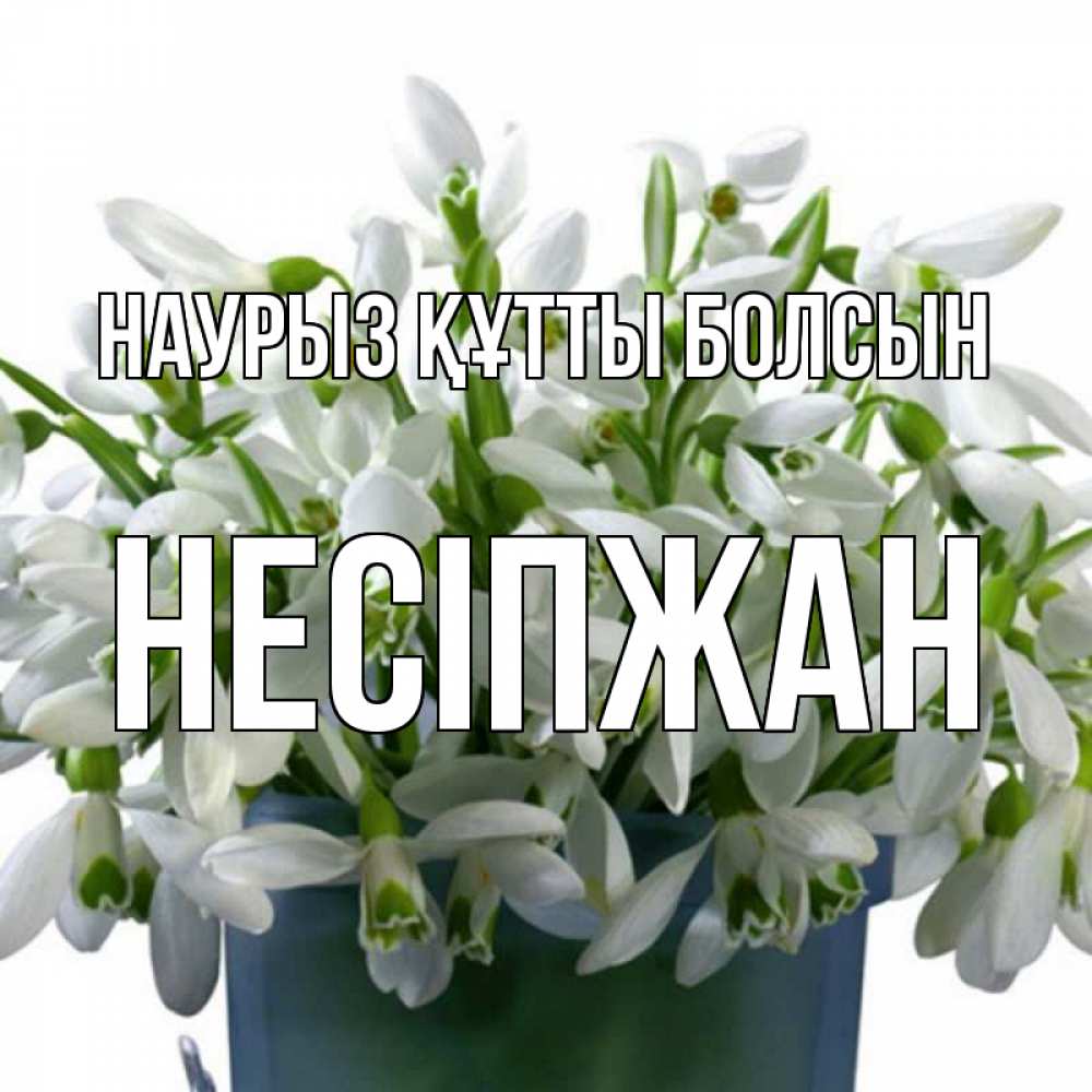 Күн сайын ашық хат с именем, НЕСІПЖАН Наурыз құтты болсын цветы к наурызу Онлайн тегін жүктеп алу тілектері бар керемет карта 
