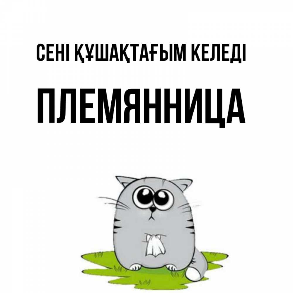 Күн сайын ашық хат с именем, Племянница сені құшақтағым келеді котик теребит платочек сидя на травке Онлайн тегін жүктеп алу тілектері бар керемет карта 
