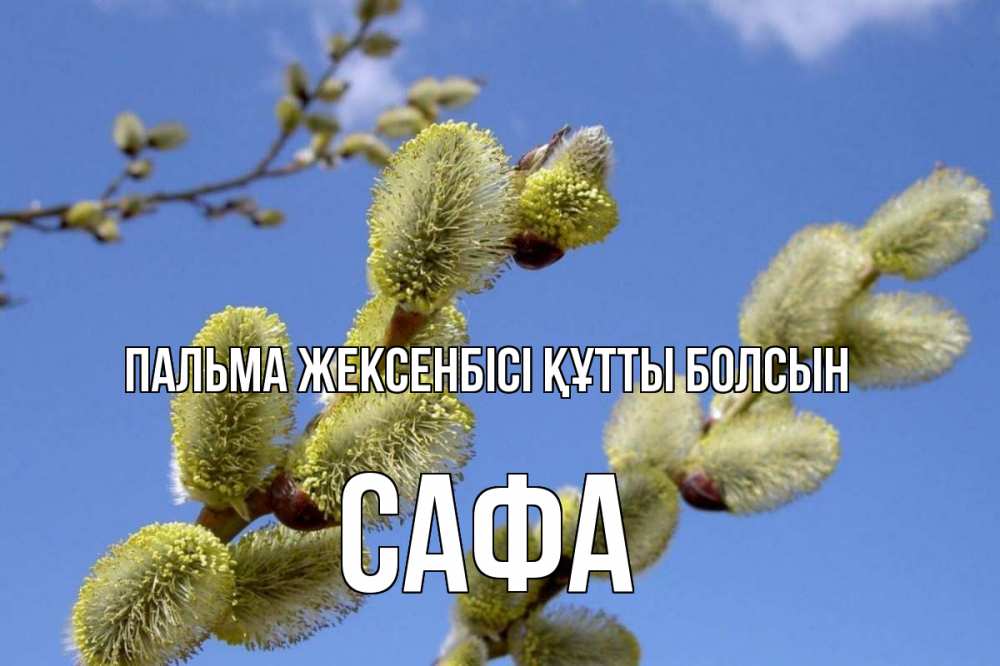 Күн сайын ашық хат с именем, САФА Пальма жексенбісі құтты болсын верба Онлайн тегін жүктеп алу тілектері бар керемет карта 